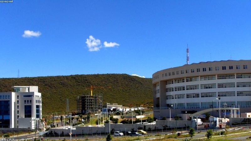 红果免费短剧首页界面展示，海量短剧资源一屏尽览